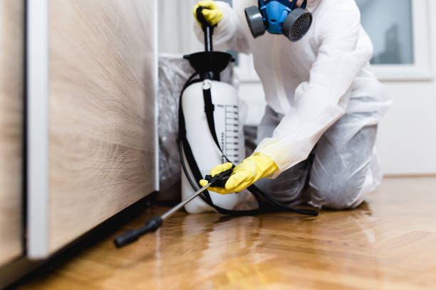 Best Local Pest Control Services  in Lawtey, FL