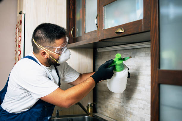 Best Pest Removal Services  in Lawtey, FL