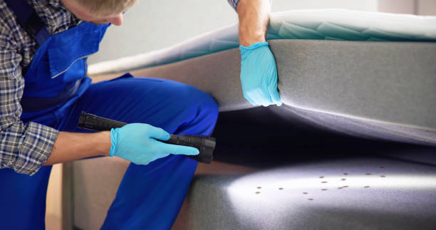  Lawtey, FL Pest Control Pros