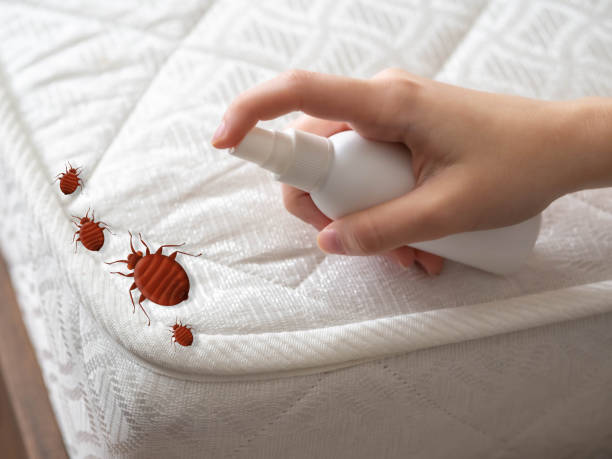 Best Pest Control Treatment  in Lawtey, FL
