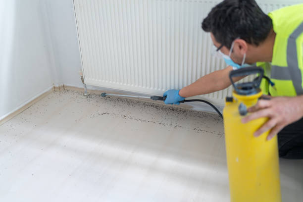 Best Pest Prevention Services  in Lawtey, FL