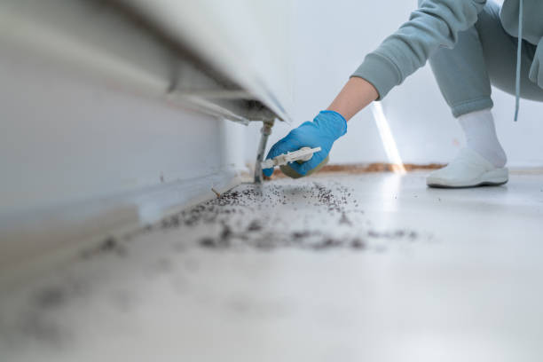 Best Best Pest Control Companies  in Lawtey, FL