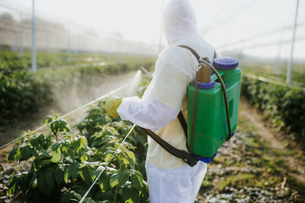 Best Flea Control Services  in Lawtey, FL
